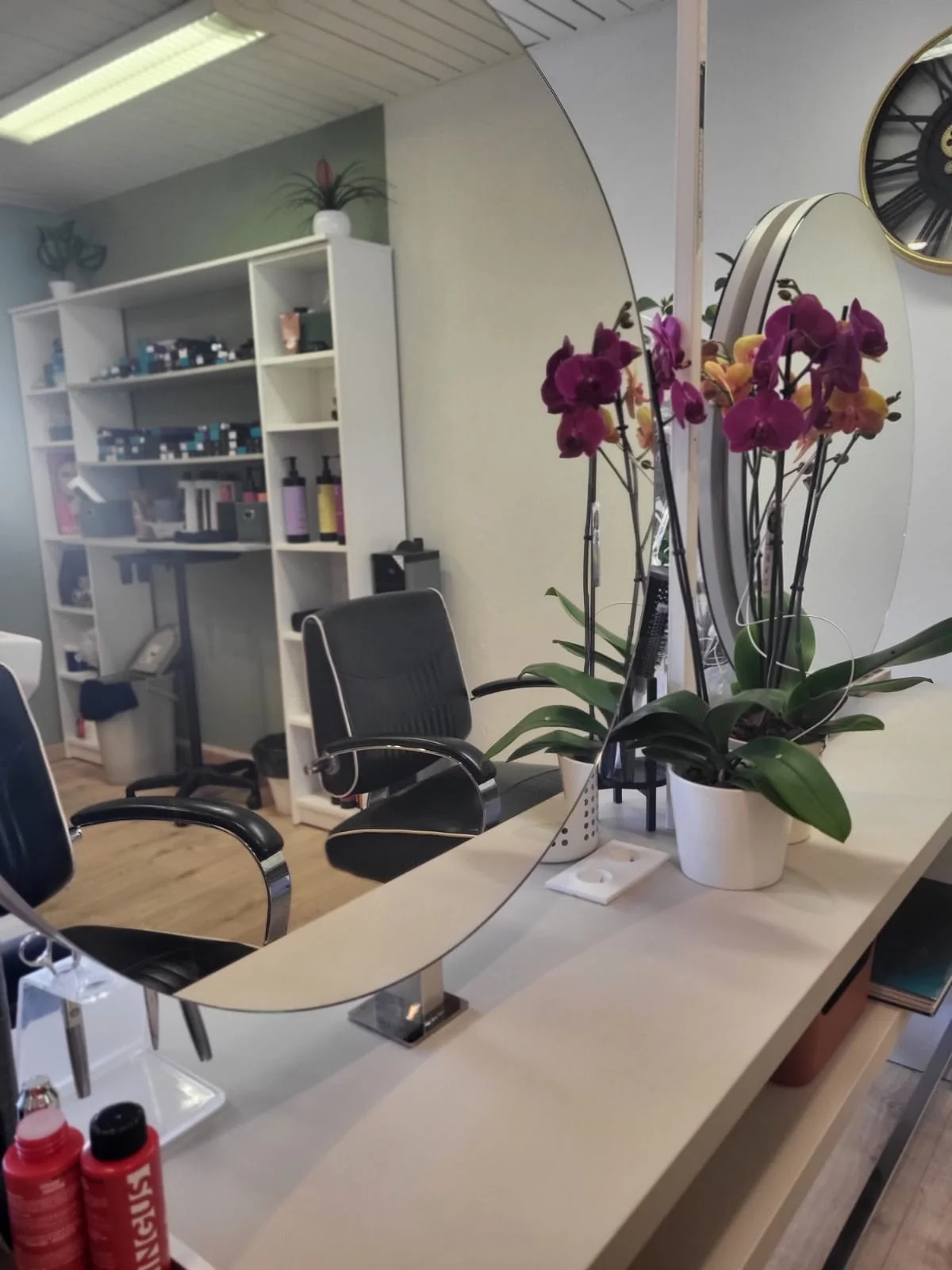 Ambiance du salon En tête à tête : miroir et orchidées colorées